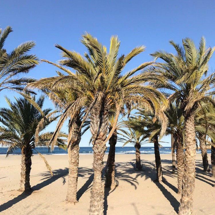 Arenal Dream The Beachfront Paradise 자베아 외부 사진